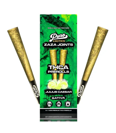 PURO ZAZA JOINTS JULIUS CAESAR