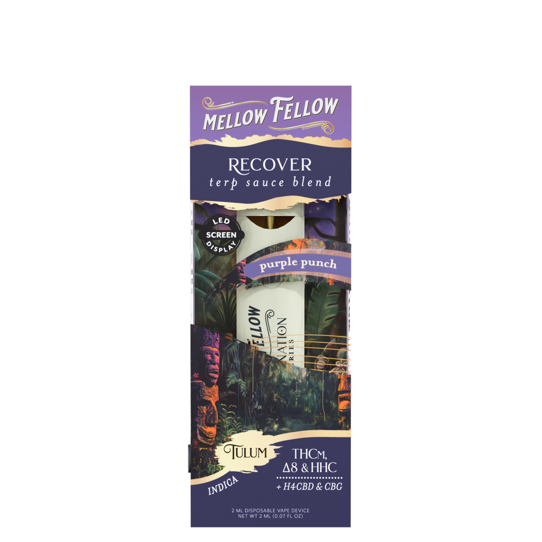 MELLOW FELLOW RECOVER PURPLE PUNCH