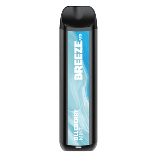 BREEZE 2000 blueberry mint