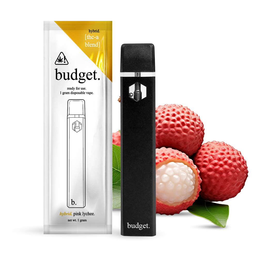 BUDGET 1g
