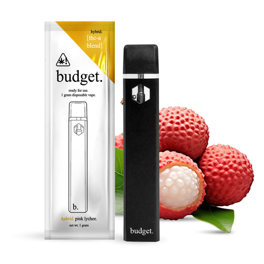 BUDGET 1g